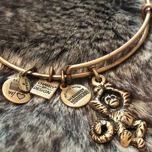 Rare Alex and Ani Charity by Design monkey bangle
